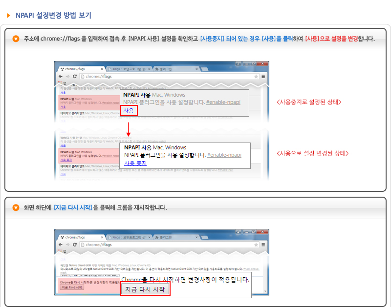 NPAPI 사용 설정방법