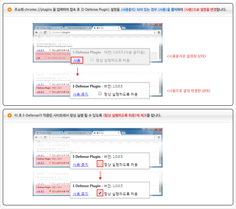 NPAPI 사용 설정방법